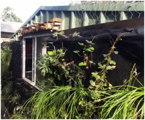 Marrickville Community Nursery Green wall Project