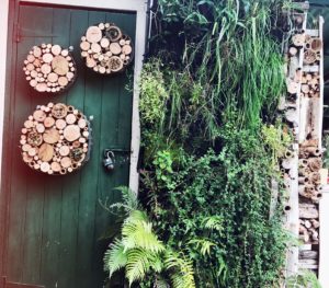 Native Bee & Pollinator DIY Hotels on a door and individual smaller bamboo and wooden logs stacked in a side panel in the Putney vertical green wall garden by Gecko Plantscapes