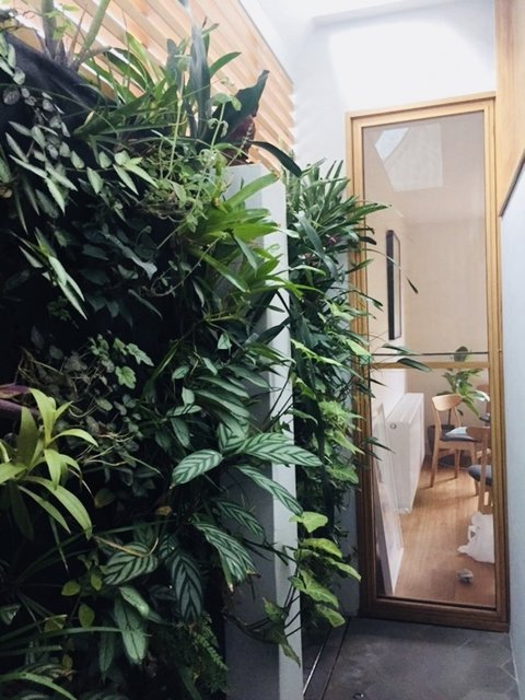 Rozelle contemporary living wall mobile