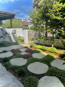 Contemporary front garden in Lilyfield, NSW landscaped & irrigated by Robbie Renu from Gecko Plantscapes